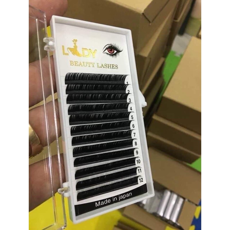 Mi lady đủ số và độ cong