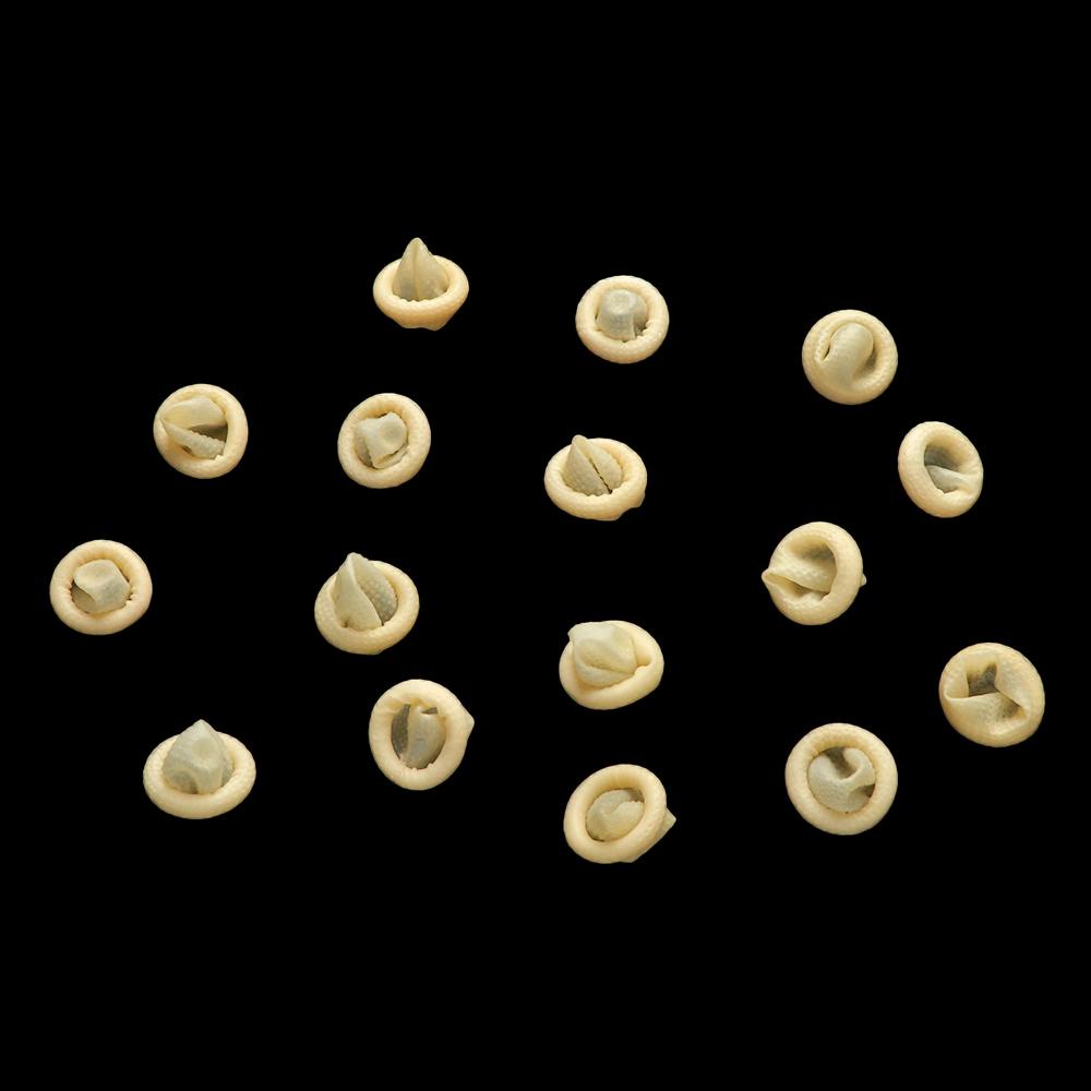 ZAIJIE24 Set 100 Găng Tay Cao Su Tự Nhiên Màu Trắng Bảo Vệ Ngón Tay