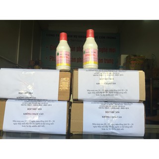 combo 4 hộp nhử mối và 2 hộp thuốc diệt mối dạng bột PMC 90 100g