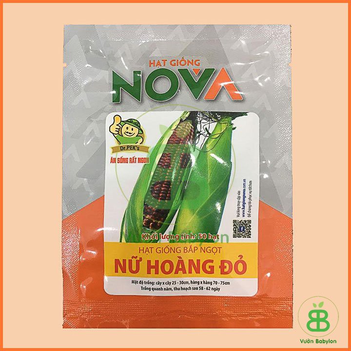 Hạt Giống Bắp Ngọt Nữ Hoàng Đỏ (50 hạt), Bắp Tím Nova Nữ hoàng đỏ