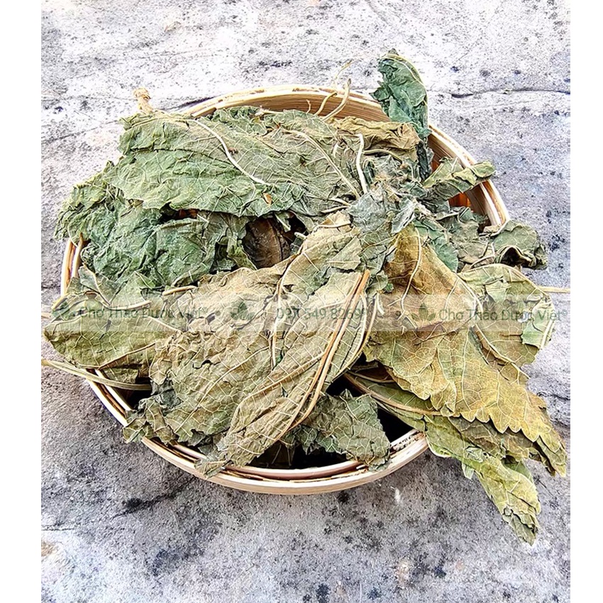 Lá dâu tằm khô 500g (Tang diệp)