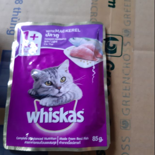Xốt whiskas cá thu cho mèo