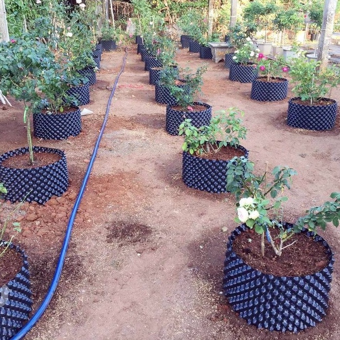 Bầu Ươm Cây V6 cao 60cm loại dày - kèm bộ vít