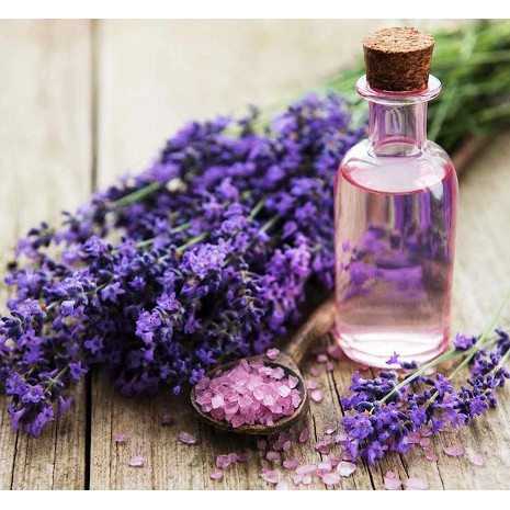 Tinh dầu oải hương (Lavender) nguyên chất 100% từ thiên nhiên