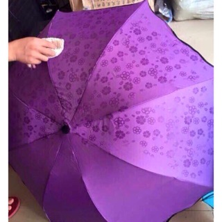 Ô nở hoa khi gặp nước