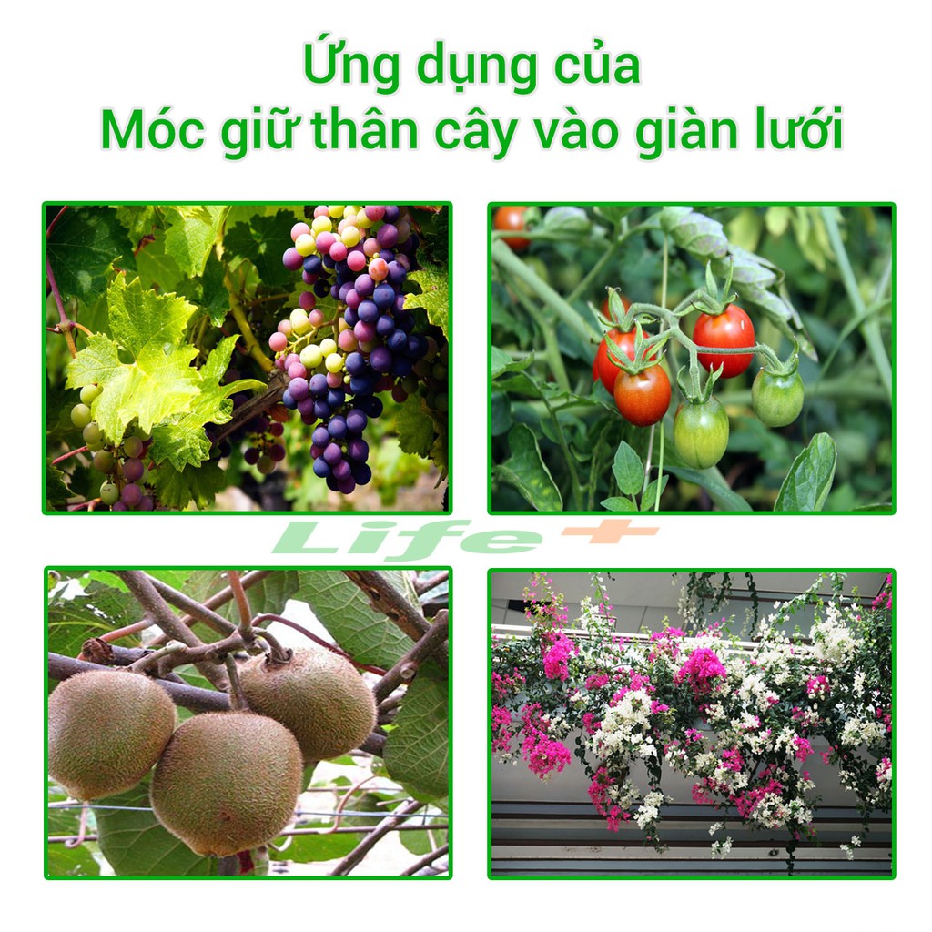 Móc giữ thân cây vào giàn lưới túi 50g