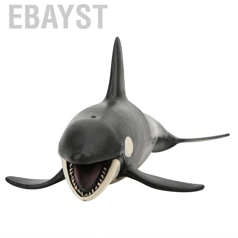 Bộ Mô Hình Cá Voi Sinh Động Làm Quà Tặng Cho Bé