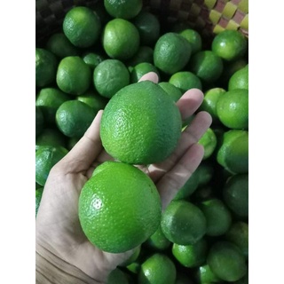 💥💥💥 Combo 3kg Chanh giấy Tiền Giang