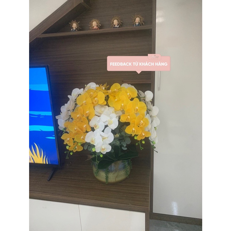 Bình hoa lan hồ điệp giả chất liệu cao su cao cấp trang trí đẹp PKND FLOWERS &amp; DECOR