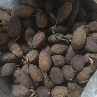 Thảo quả dùng thử