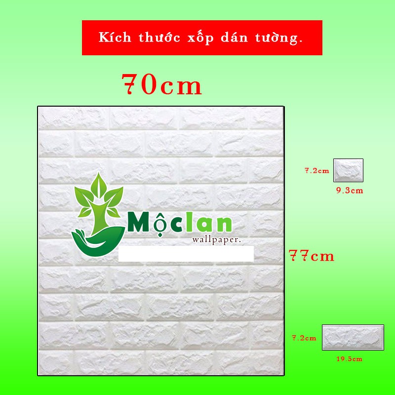 Xốp Dán Tường 3D DOREMON  VÀ HELLO KITTY, khổ 70cm x 77cm, dày 5mm. Siêu đẹp. | BigBuy360 - bigbuy360.vn