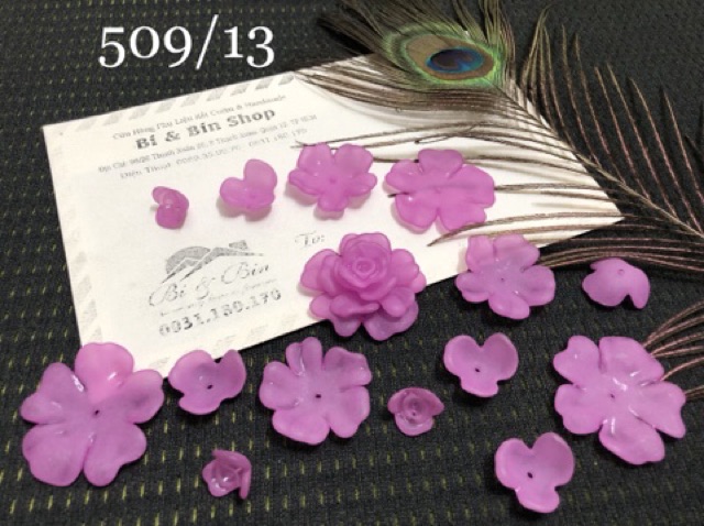 4 Hoa Anh Đào 4 Lớp - HPK509