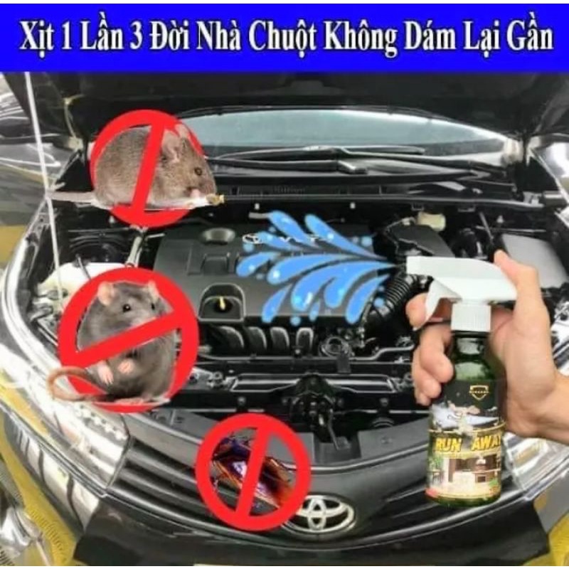 1 CHAI XỊT ĐUỔI CHUỘT GIÁN VÀ CÁC LOẠI CÔN TRÙNG TRÊN XE HƠI ÔTÔ NHÀ NHỮNG NƠI CÓ CHUỘT CAM KẾT HIỆU QUẢ