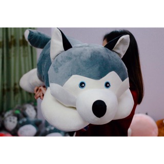 Gấu bông husky