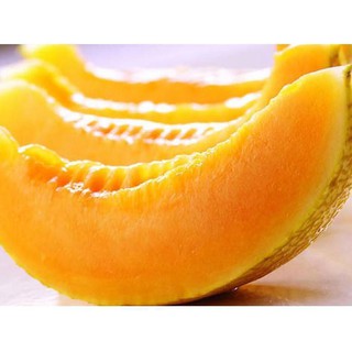 [HOT] Hạt Giống Dưa Lưới Vàng