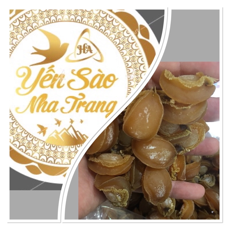 Ng100g bào ngư xuất khẩu size đại