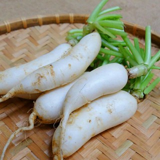 Hạt giống củ cải trắng