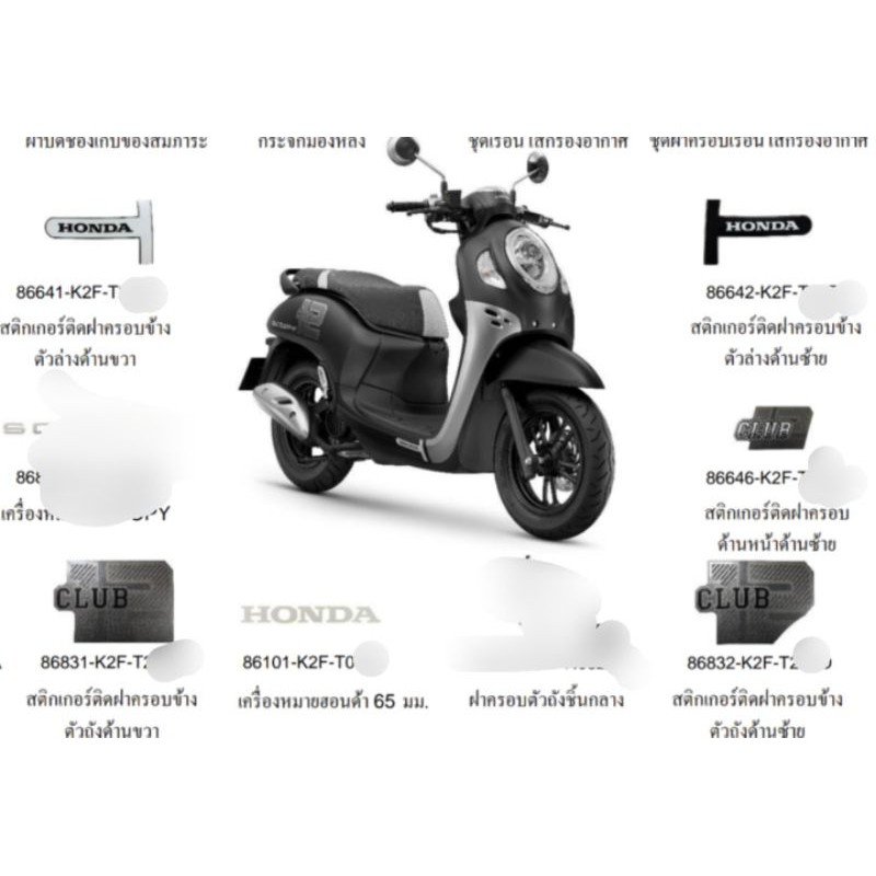 Tem Scoopy 2021 Club12