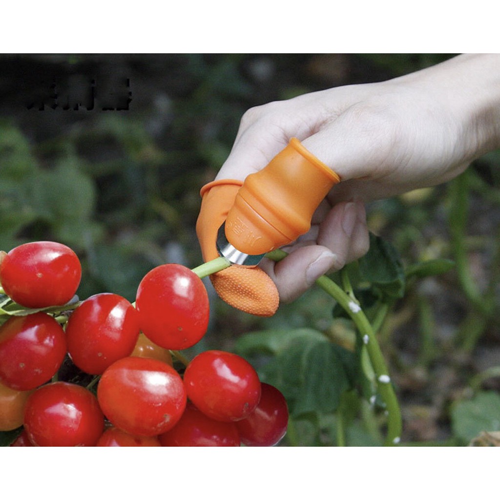 L1 - Bộ dao móng tay + 2 bao xỏ ngón dùng lặt hái rau làm bếp hỗ trợ nhanh tiện