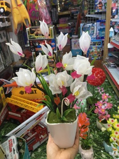 Hoa đá hand made