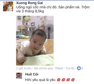 Túi Lợi Sữa LinhMilk
