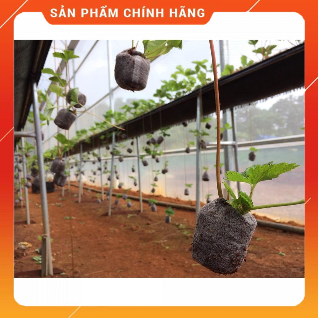 Viên nén ươm cây, Viên nén ươm hạt trồng cây, Viên nén xơ dừa MSP84688