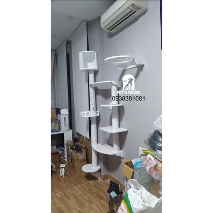 Cat tree gắn tường