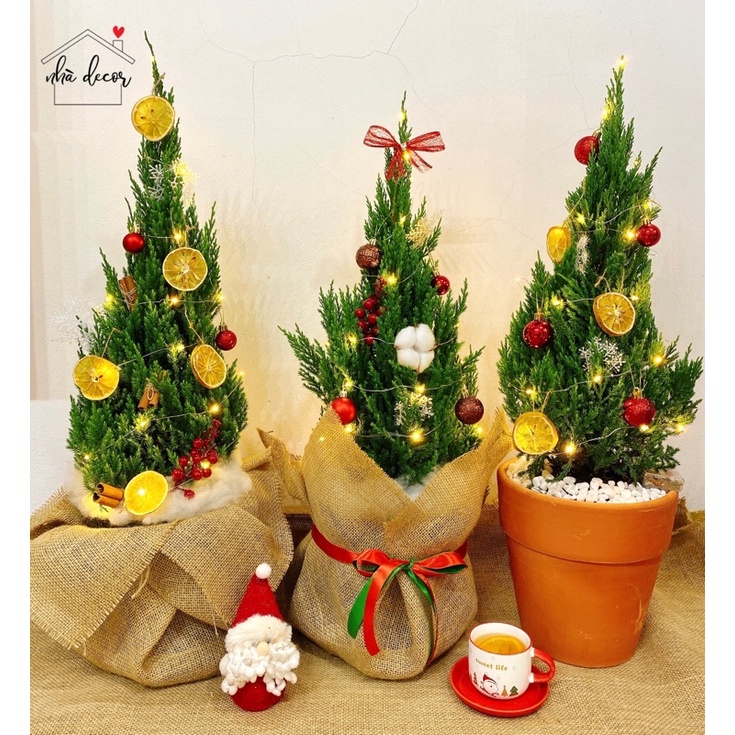 Cây Tùng Noel Giáng sinh 2023 Nhà Decor siêu đẹp giá rẻ ship 1h lỗi 1 đổi 1
