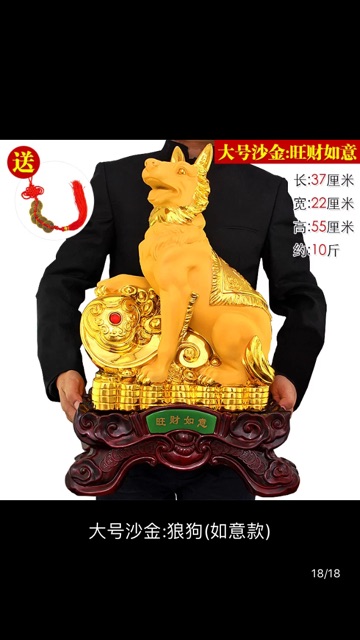 Chó vàng đáng yêu 160