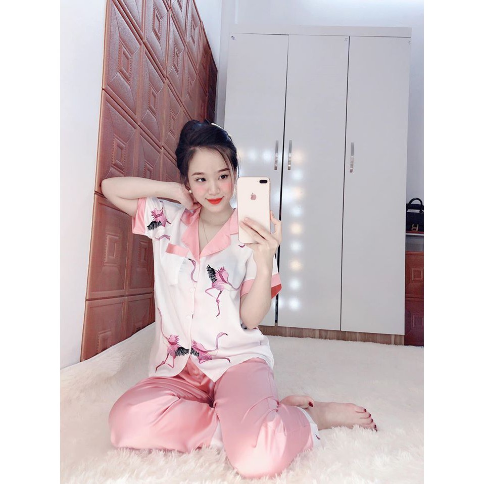 Đồ ngủ
 giá rẻ🔥FREESHIP🔥 Đồ bộ lụa satin Hồng Hạc | BigBuy360 - bigbuy360.vn
