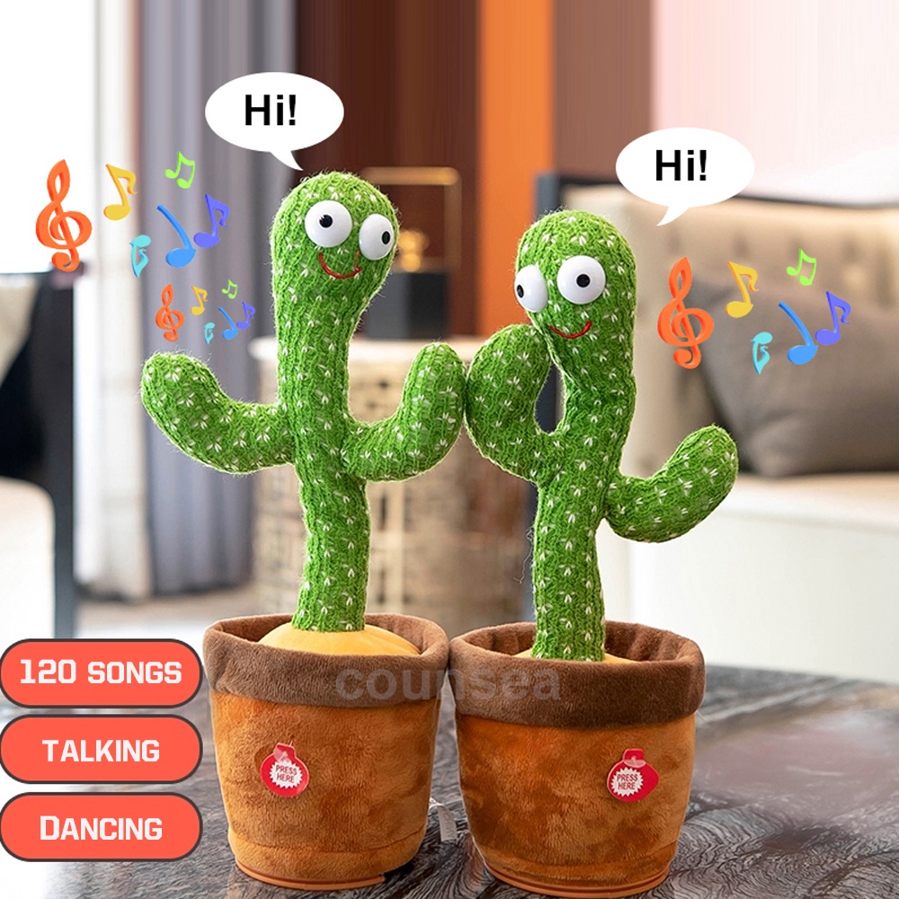 CÓ SẴN XƯƠNG RỒNG NHẢY MÚA - DANCING CACTUS