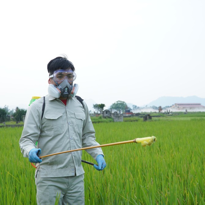 3M 7502 Mặt Nạ Phòng Độc Cao Cấp Giải Pháp Phun Sơn, Phun Hóa Chất