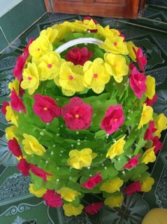 Hoa gấm cánh tròn