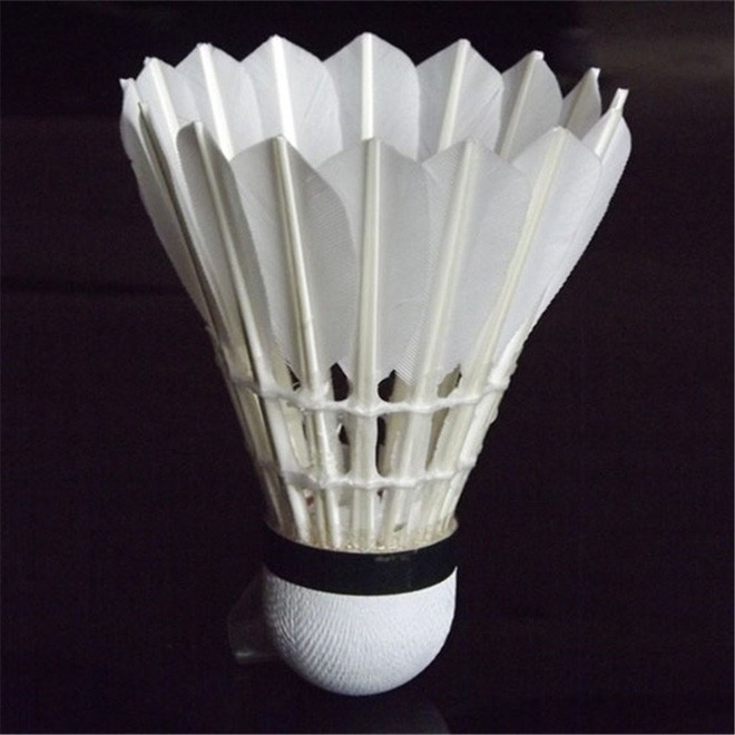 Ống cầu lông Hải Yến 6 quả ( Bạc Ngắn ) sử dụng trong luyện tâp và thi đấu hàng Việt Nam chất lượng cao - LICLAC