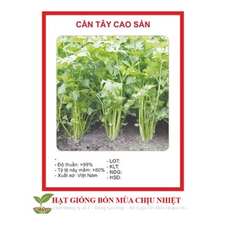 Gói 200 hạt giống cần tây
