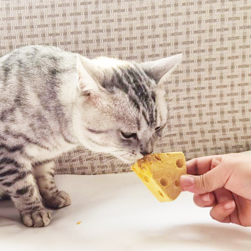 BÁNH NHÂN THỊT SẤY GIẢM CAO RĂNG HÔI MIỆNG CHO CHÓ MÈO - TREAT THÚ CƯNG - HAYUMI