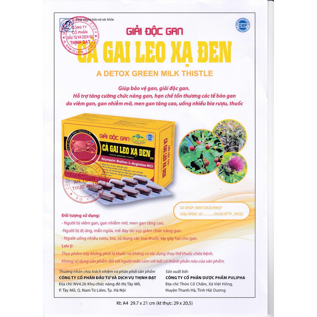 Cà Gai Leo Xạ Đen - Bổ Gan, Giải Độc Gan, Tăng Cường Chức Năng Gan (Hộp 60 Viên)