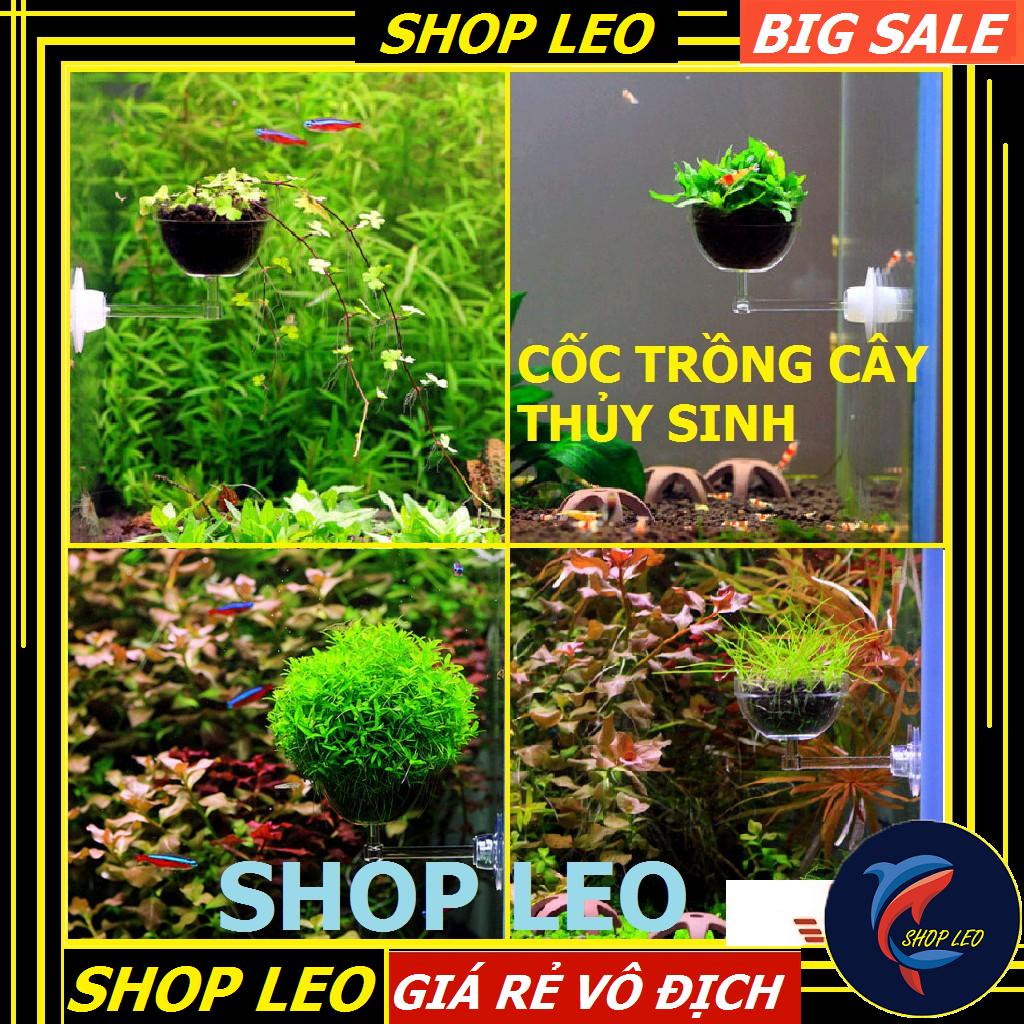 Đĩa cho tép ăn có hít - Cốc trồng cây thủy sinh - (Có hít kính kéo dài) - Cốc đựng phân nền - Hồ thủy sinh - bể cá cảnh