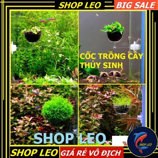 Đĩa cho tép ăn có hít - Cốc trồng cây thủy sinh - (Có hít kính kéo dài) - Cốc đựng phân nền - Hồ thủy sinh - bể cá cảnh