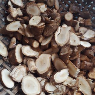 Củ gai an thai cho bà bầu 1.5kg