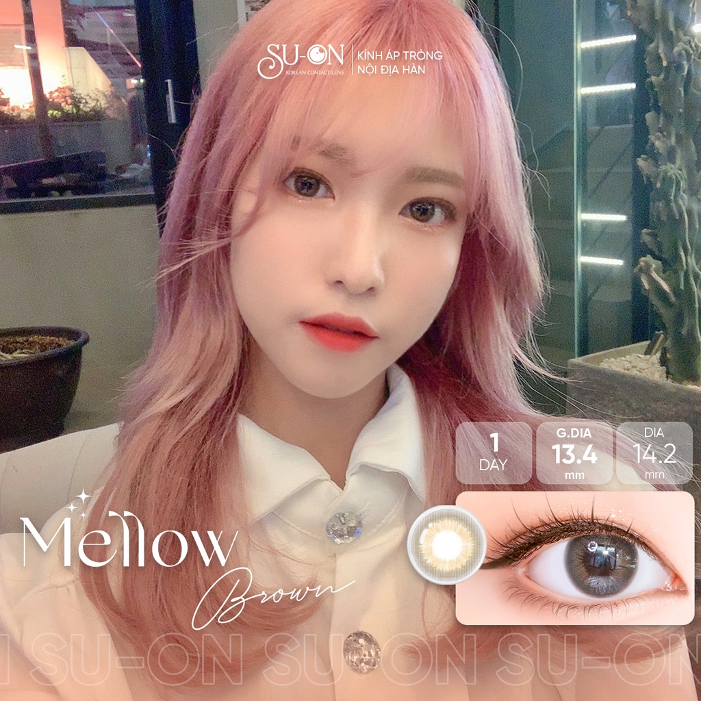 Lens 1 ngày Ann365 MELLOW BROWN áp tròng 14,2mm, nâu tây tự nhiên, siêu êm đeo 24h