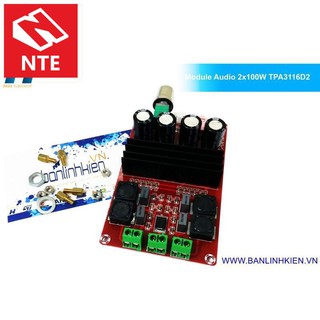 [NTE] Module Audio 2x100W TPA3116D2