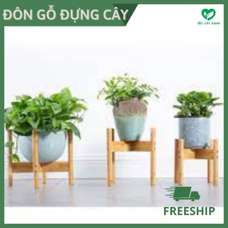 Đôn gỗ đựng chậu và cây cảnh trang trí