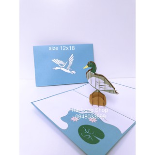 Vịt Trời - Duck Hawk  -  Thiệp 3D