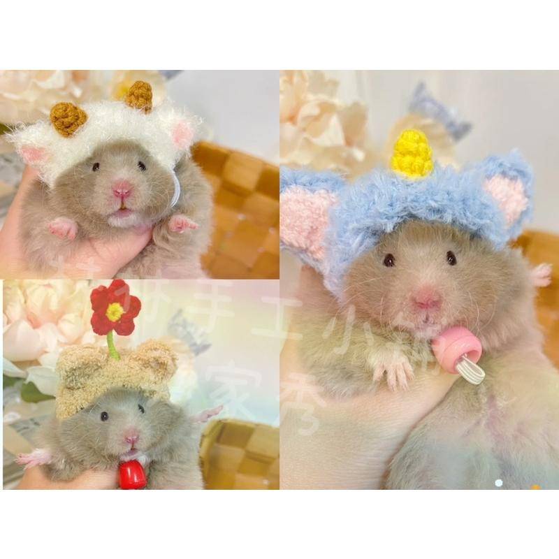 Mũ Tai Bèo Hình Gấu Vàng / Thỏ / Cà Rốt / Luffy Dễ Thương Cho Chuột Hamster