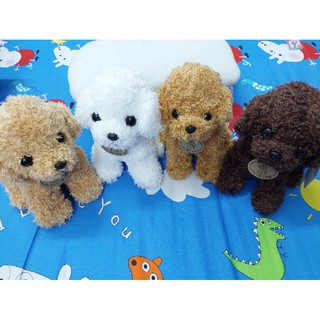 [Thanh lý] Thú bông cún poodle siêu cute