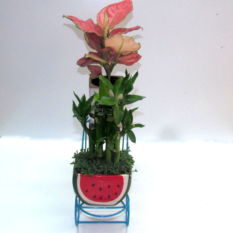 Kệ-Gía đỡ chậu hoa PA002X