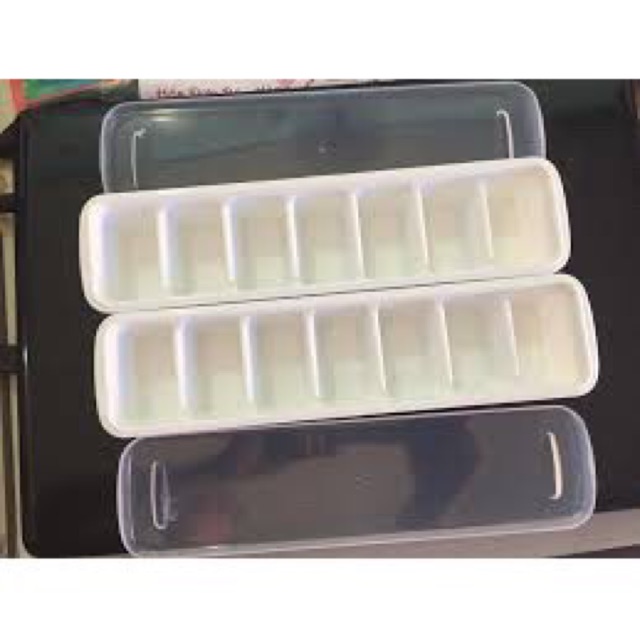Combo 2 khay trữ đông thực phẩm