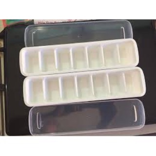 Combo 2 khay trữ đông thực phẩm
