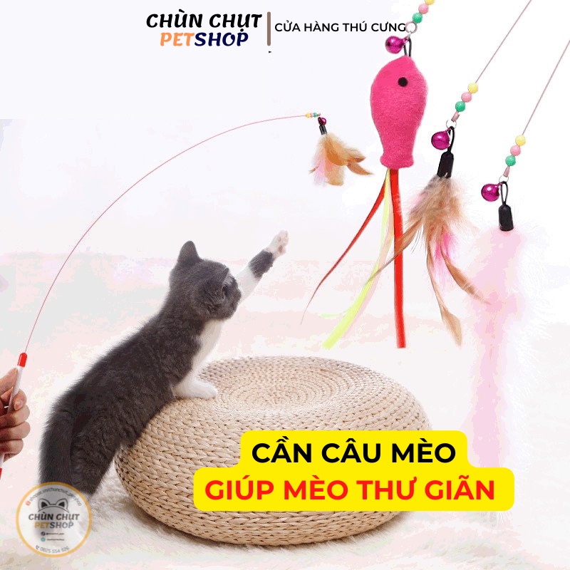 Cây chơi cho Mèo - Cần câu dây thép dẻo và lông vũ